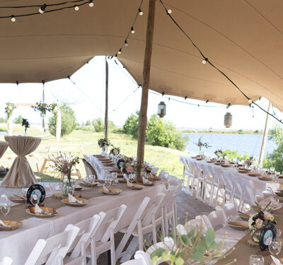 Wedding chairs