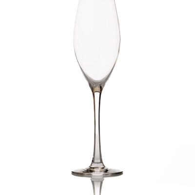 Champagneflute Anna | 24cl (per 36st)